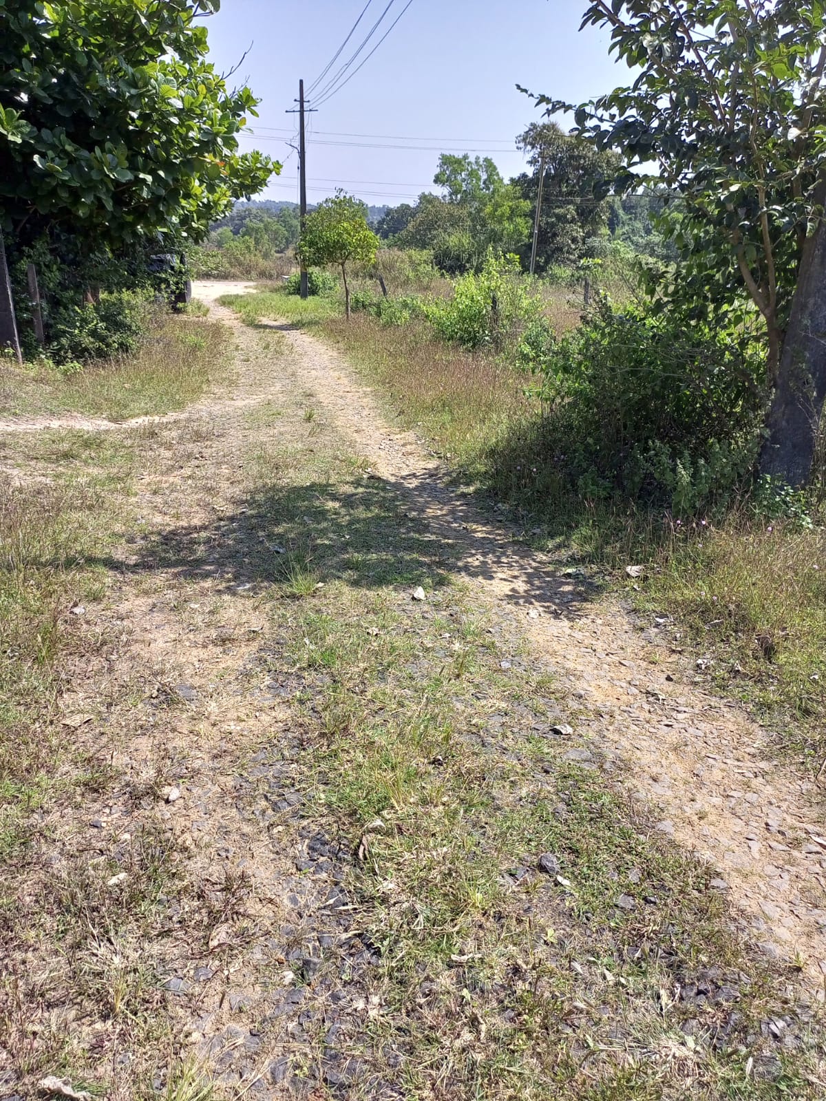 NA, LAYOUT, KGP PLOT FOR SALE Mudewadi, Khanapur - Image 7