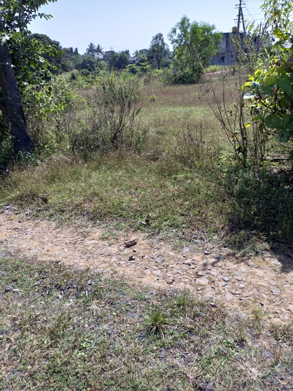 NA, LAYOUT, KGP PLOT FOR SALE Mudewadi, Khanapur - Image 9