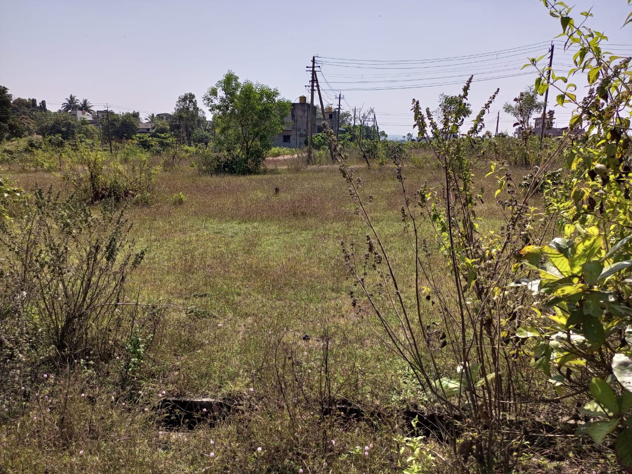 NA, LAYOUT, KGP PLOT FOR SALE Mudewadi, Khanapur - Image 11