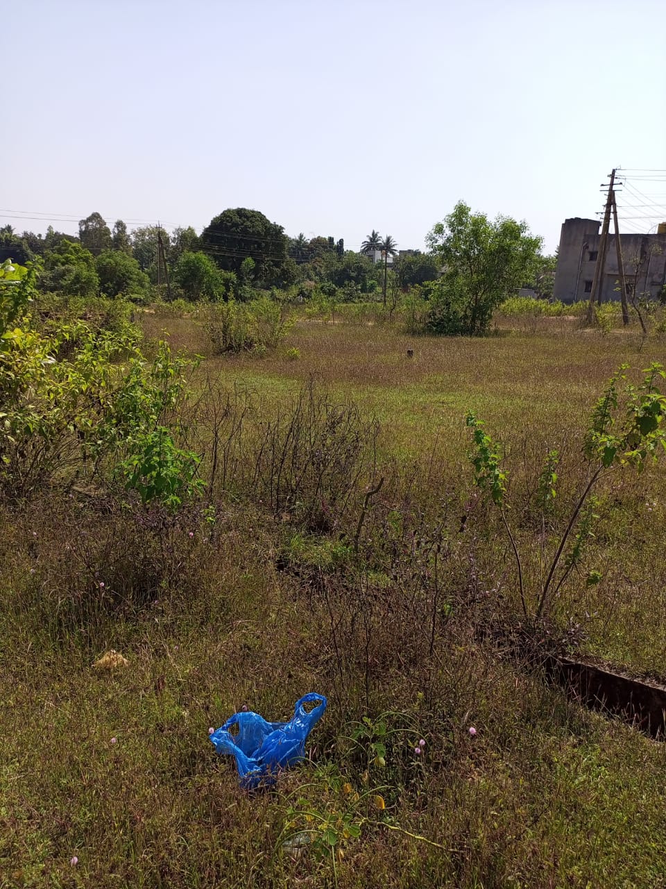 NA, LAYOUT, KGP PLOT FOR SALE Mudewadi, Khanapur - Image 12